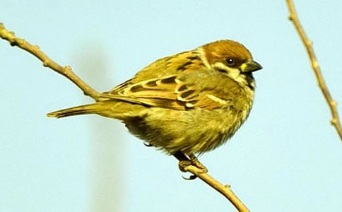 ���P(gu��n)��ȸ������