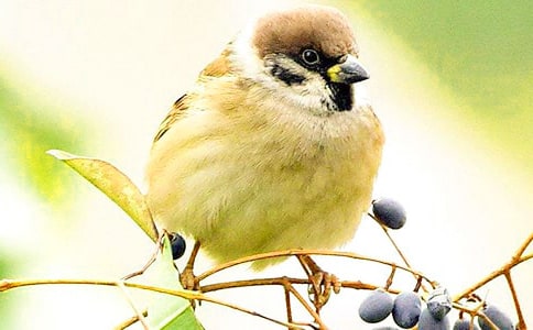 �������ȸ����