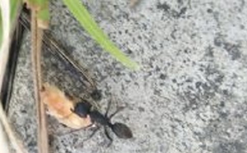 ����Λρ�ڄڵľ��ӣ�ͨ��120�䣩