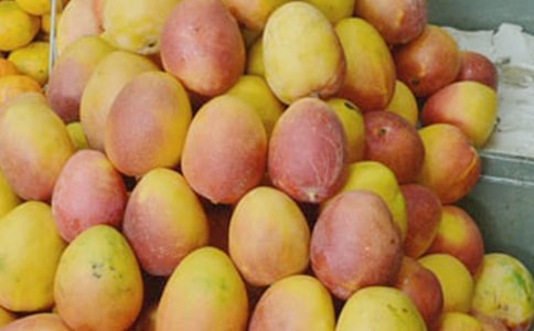 芒果樹(shù)的作文400字-寫(xiě)物