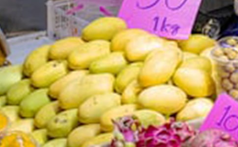 介紹芒果的作文(經(jīng)典2篇)