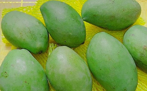 【經(jīng)典】芒果的作文