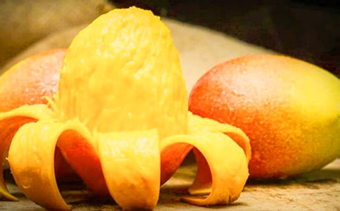 (實(shí)用)芒果的作文15篇