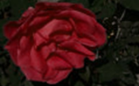 ������õ�����������㡱������600�֣����x24ƪ��