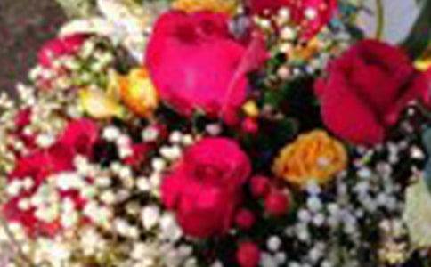 玫瑰花的故事作文