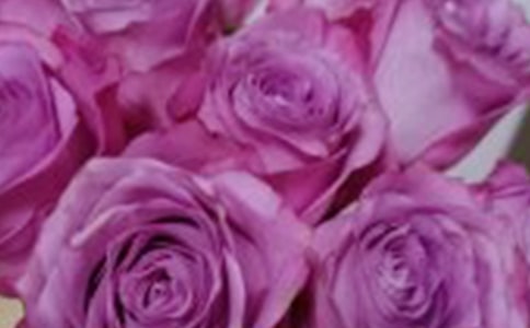 ����õ�������������ģ�ͨ��31ƪ��