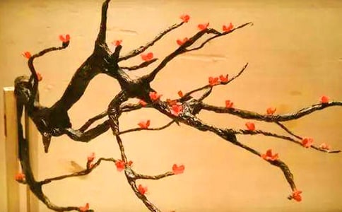有關(guān)形容梅花的句子49條