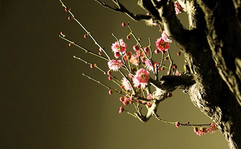 ÷��Ψ��Ԋ������㑾���50�侫�x