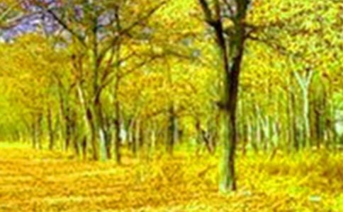 鄉(xiāng)村的美景作文