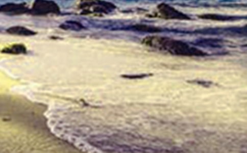 ��߅��������