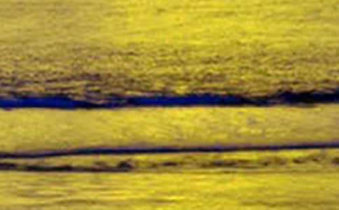 �Ϸ�������������