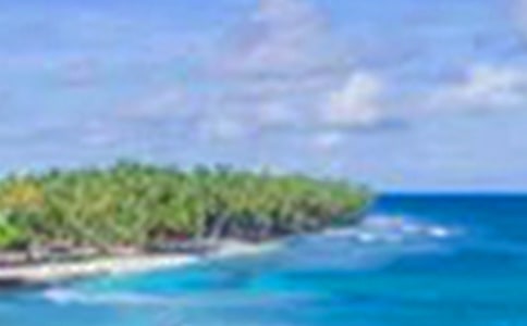 身邊的美景作文