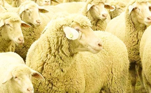 ���꼉���ҵ�С�d��