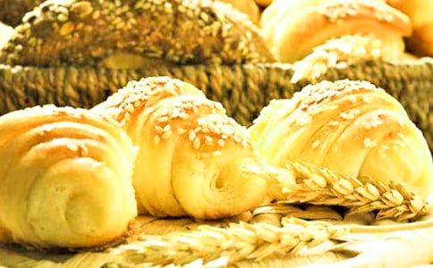 營養(yǎng)面包作文