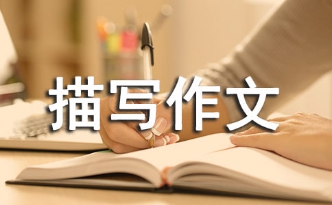 人物描寫作文350字