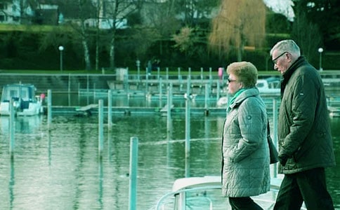 奶奶的手作文15篇