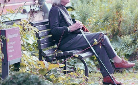 關(guān)于奶奶的作文合集10篇