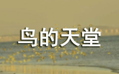 六年級(jí)語(yǔ)文上冊(cè)鳥的天堂教案