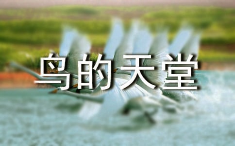 《鳥(niǎo)的天堂》四年級(jí)語(yǔ)文教案7篇