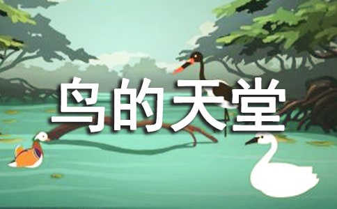 小學(xué)語文《鳥的天堂》的教案設(shè)計(jì)