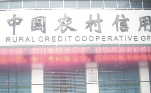 最新農(nóng)村信用社個(gè)人總結(jié)