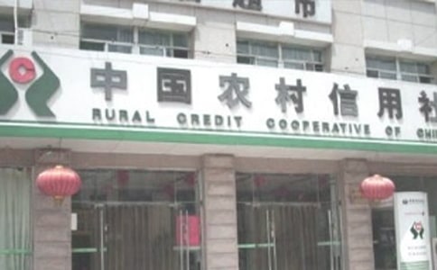 農(nóng)村信用社述職報(bào)告(通用6篇)