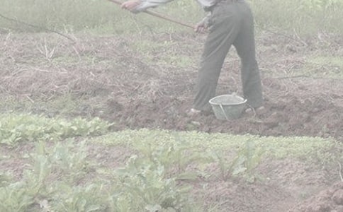 干農(nóng)活作文500字(精選32篇)