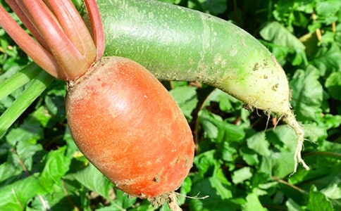 �r(n��ng)�Ҙ����ľ��x15ƪ