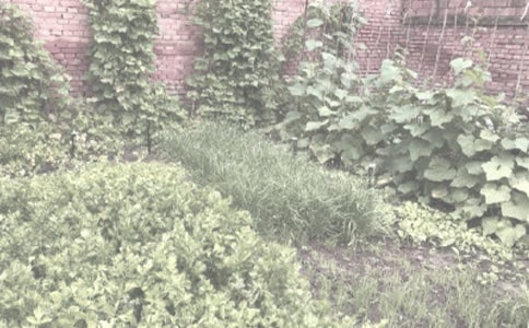 �P(gu��n)���r(n��ng)����N��ͬ���ąR����ƪ