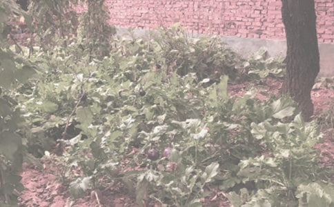 �r(n��ng)����N��ͬ���ļ���6ƪ