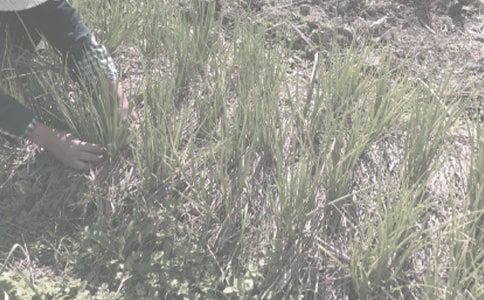 �P���r����N��ͬ���ąR��8ƪ