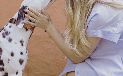 刷新職場(chǎng)女性維權(quán)內(nèi)容