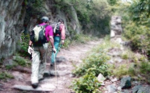 記一次爬山作文