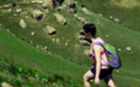 爬山虎的腳教學(xué)設(shè)計