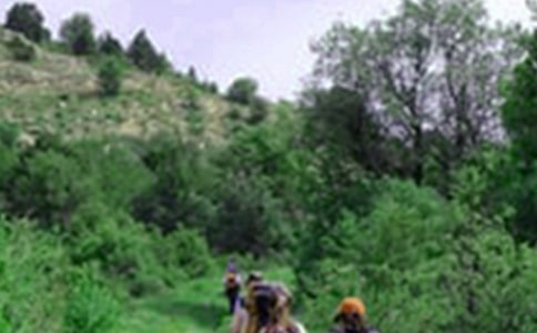 ��ɽӛ����