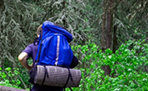 冬天爬山的作文