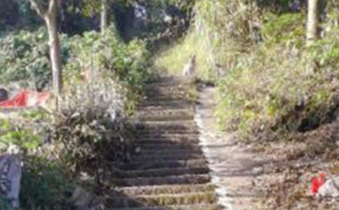 ��ɽ•̫�•��