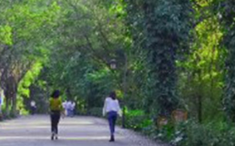 [�̌W(xu��)��˼]����ɽ�����_���̌W(xu��)��˼