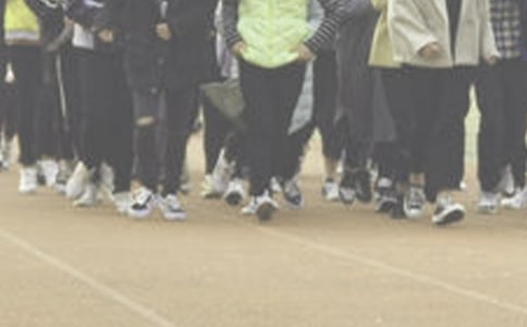 �ܲك�(y��u)�����ģ�ͨ��48ƪ��