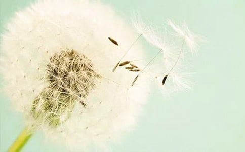 �аࡶ�ѹ�Ӣ�������̰�