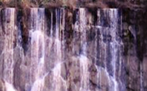 ���ٲ���