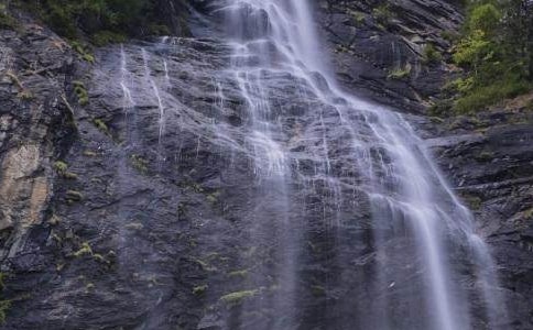 《紫藤蘿瀑布》2