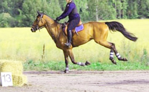 �а��w������T�Rȥ���ν̰���ͨ��5ƪ��