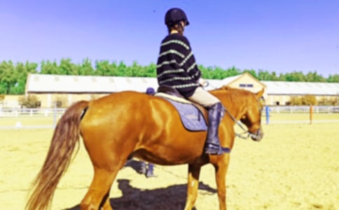 �T�R��(y��u)������15ƪ