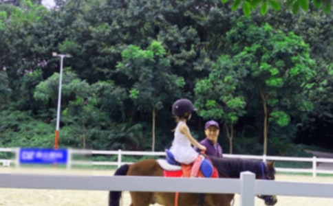 第一次騎馬作文