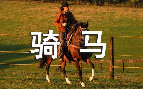 �T�R��(y��u)������(15ƪ)