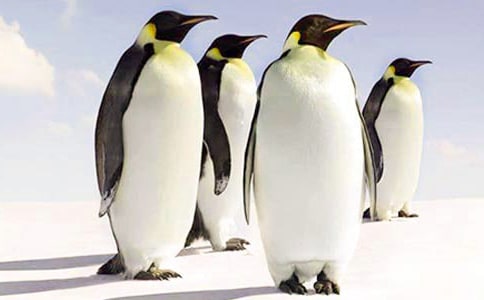 �����T�����Z��(y��u)������