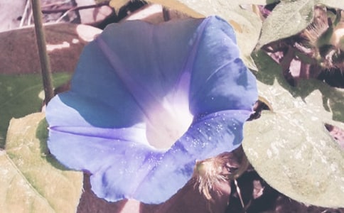 �茑������������