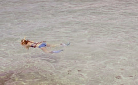 潛水小學(xué)作文