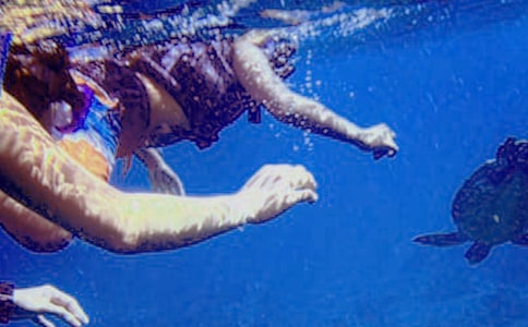 ���Ý�ˮ������ˮ�ˆT��ͬ